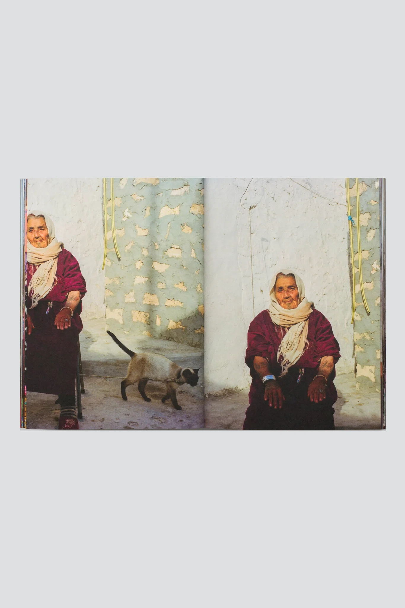 Aisha - Yumna Al-Arashi - Image 2