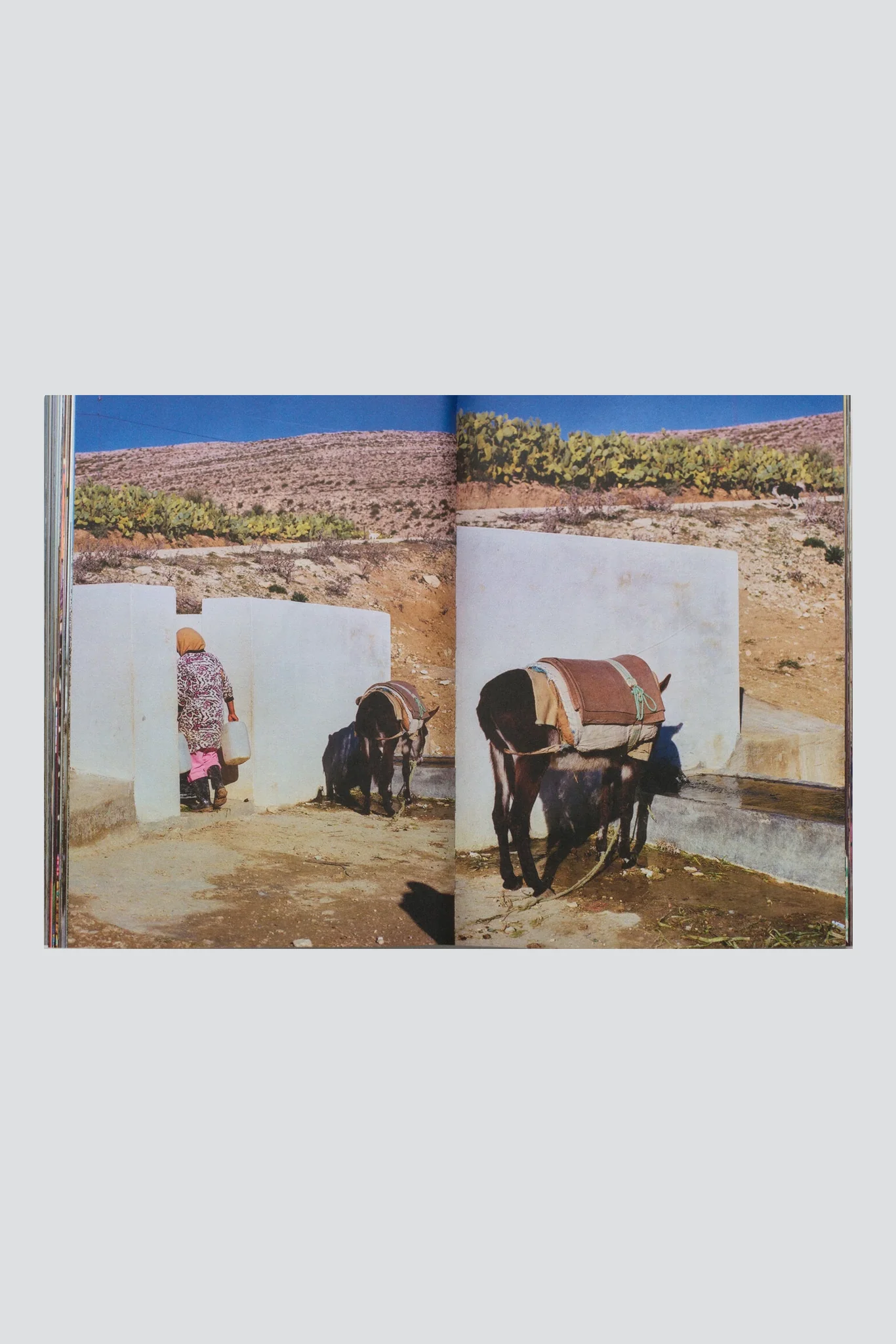Aisha - Yumna Al-Arashi - Image 4