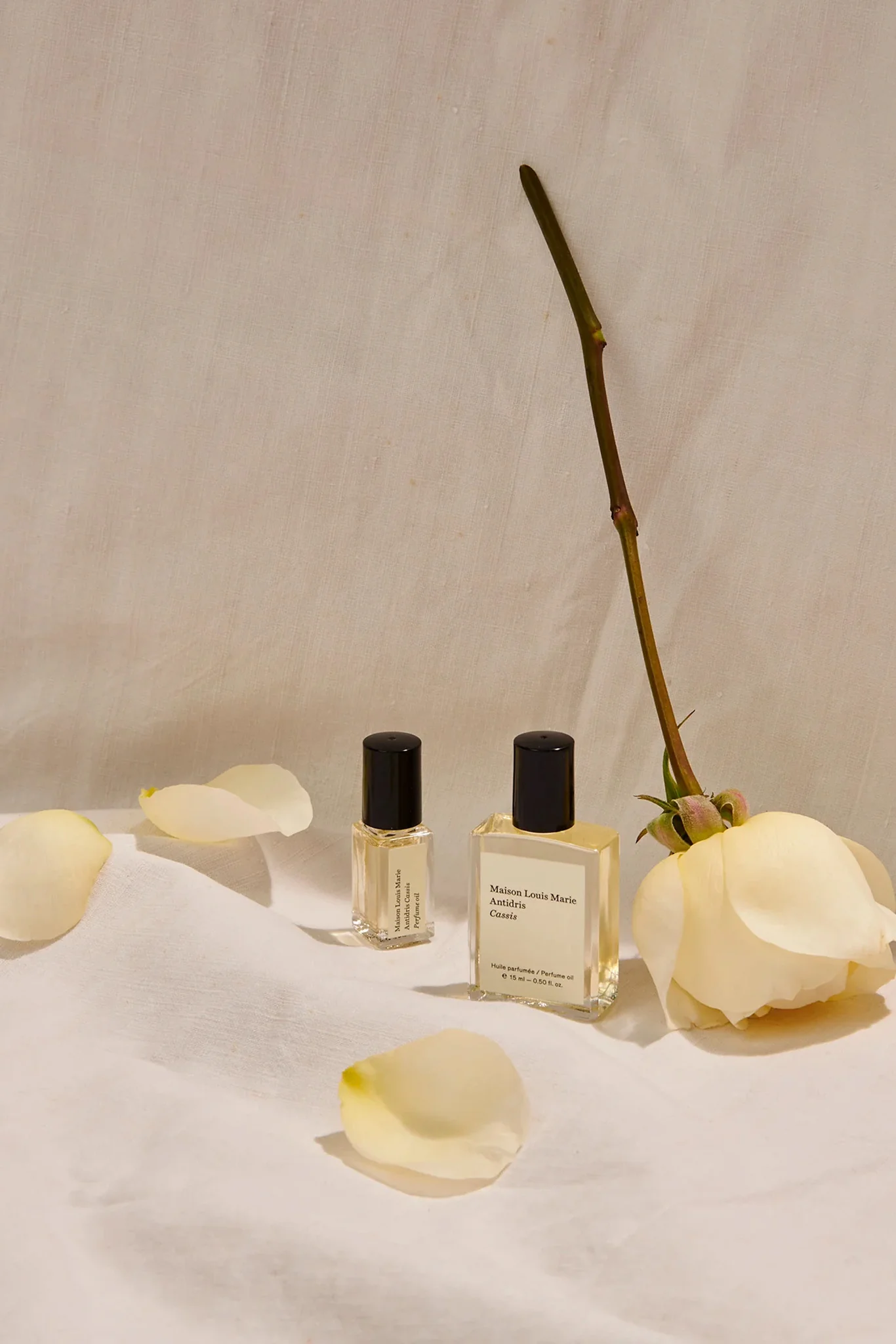 Antidris Cassis Perfume Oil - Image 3