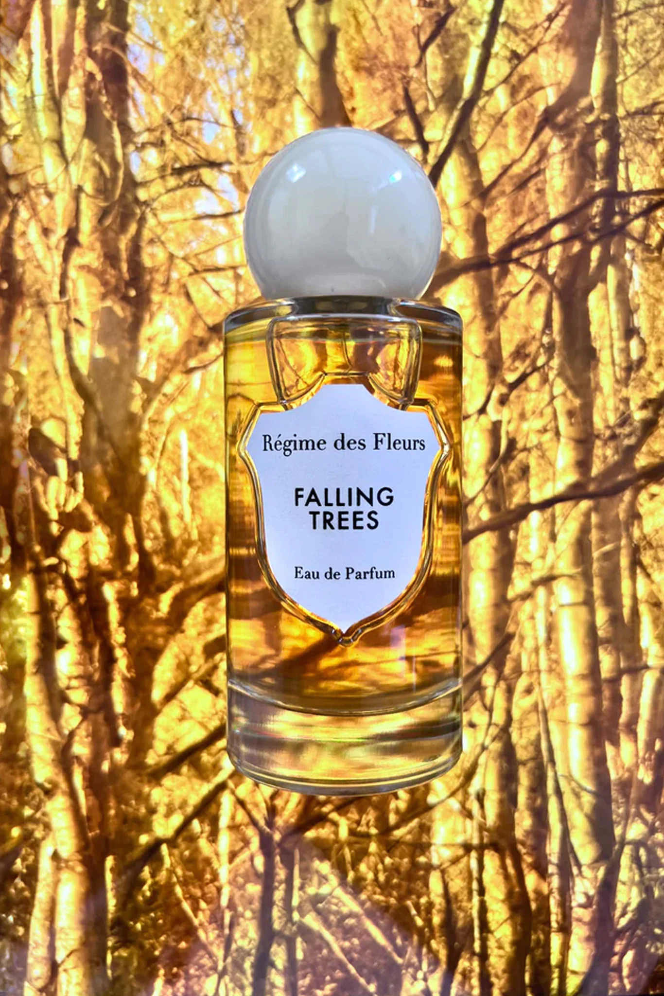 Falling Trees Eau de Parfum - Image 2