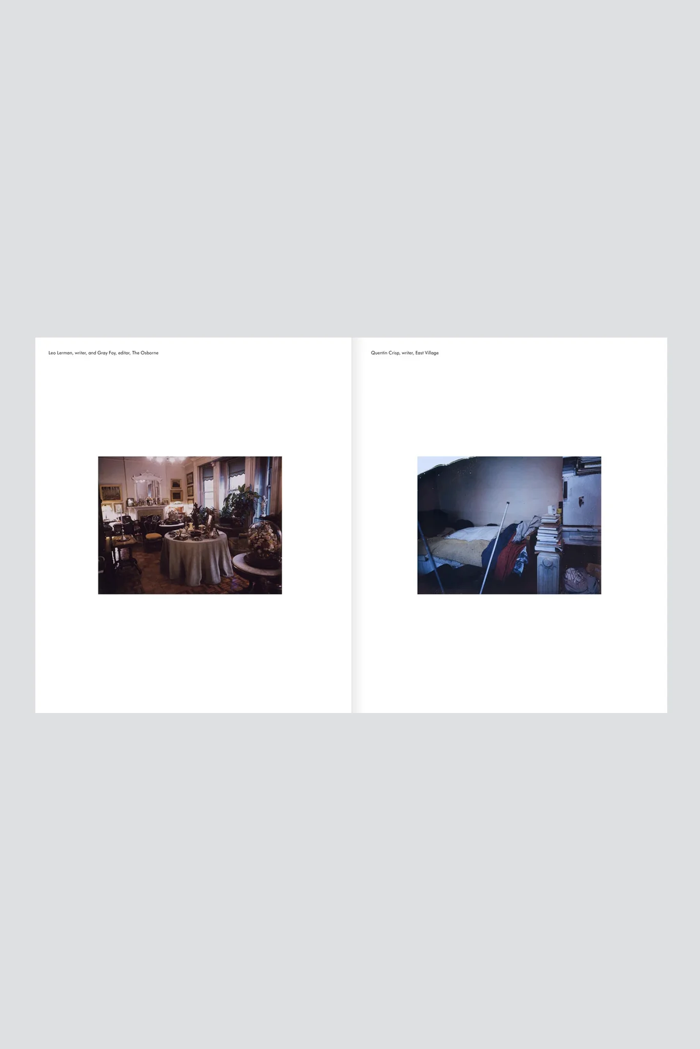 New York Living Rooms - Dominique Nabokov - Image 4
