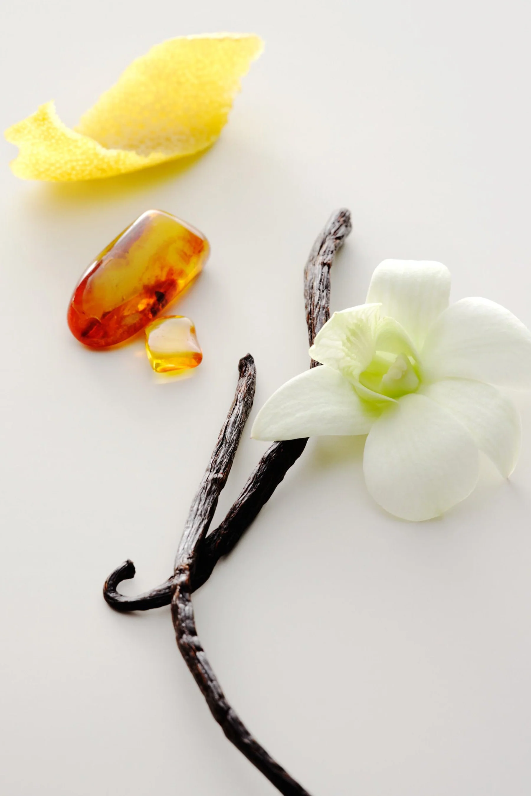 No. 15 Vanille Infinie Perfume Oil - Image 2