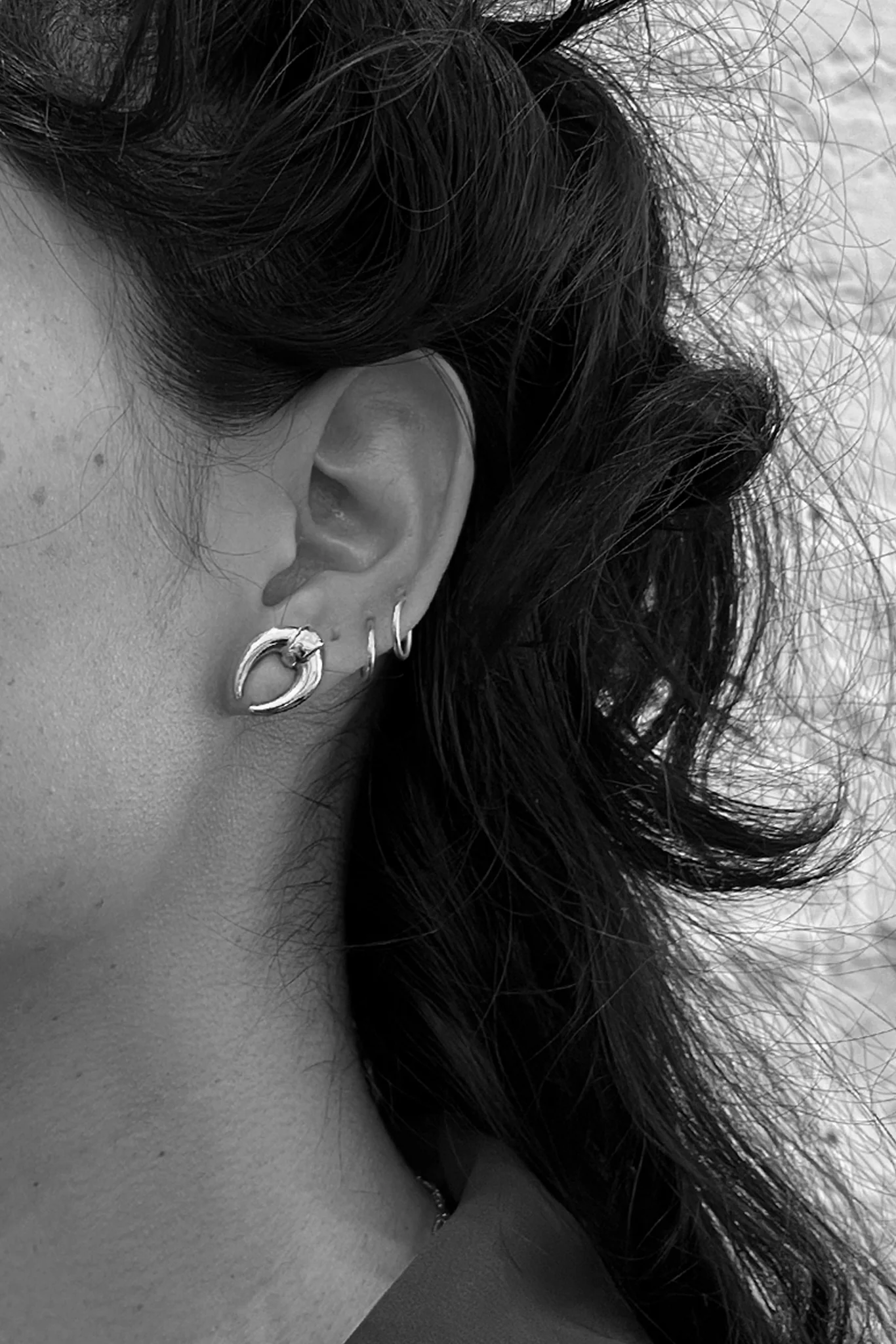 Silver Dynastinae Earrings - Image 2